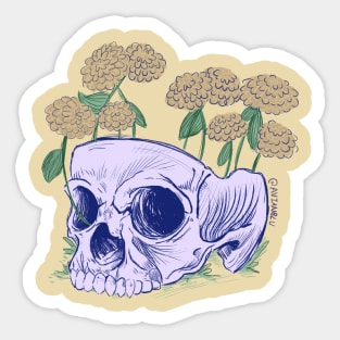 Fields of Gold Sticker